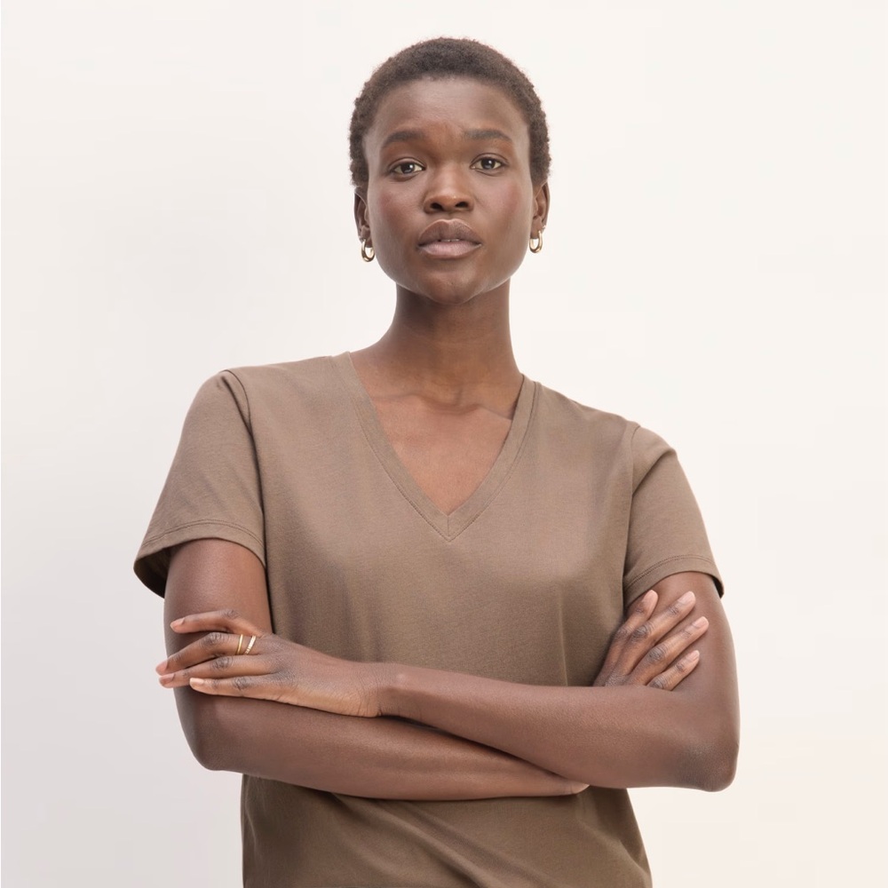 Everlane V-neck T-shirt